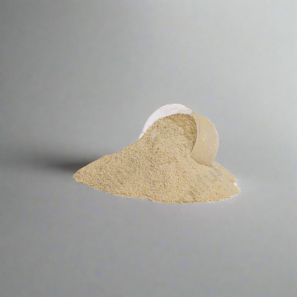Advanced 100% Whey Protein Isolate (Vanilla)