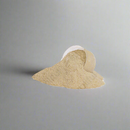 Advanced 100% Whey Protein Isolate (Vanilla)
