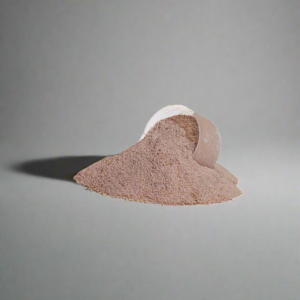 Advanced 100% Whey Protein Isolate (Chocolate)